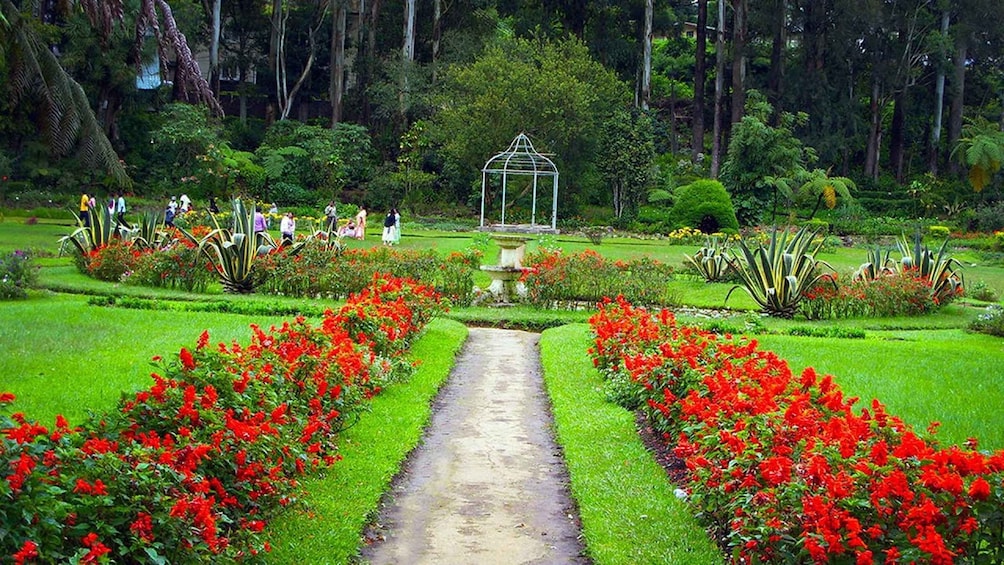 Picture 4 for Activity Kandy To Ambuluwawa Tower Day Tour