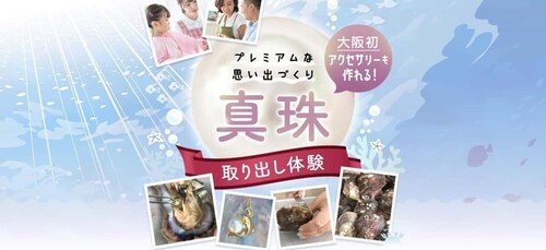 Osaka:Experience Extracting Pearls From Akoya Oysters