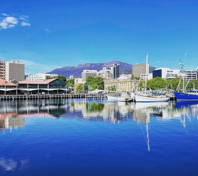 Hobart: nipaluna Half-Day Highlights Tour