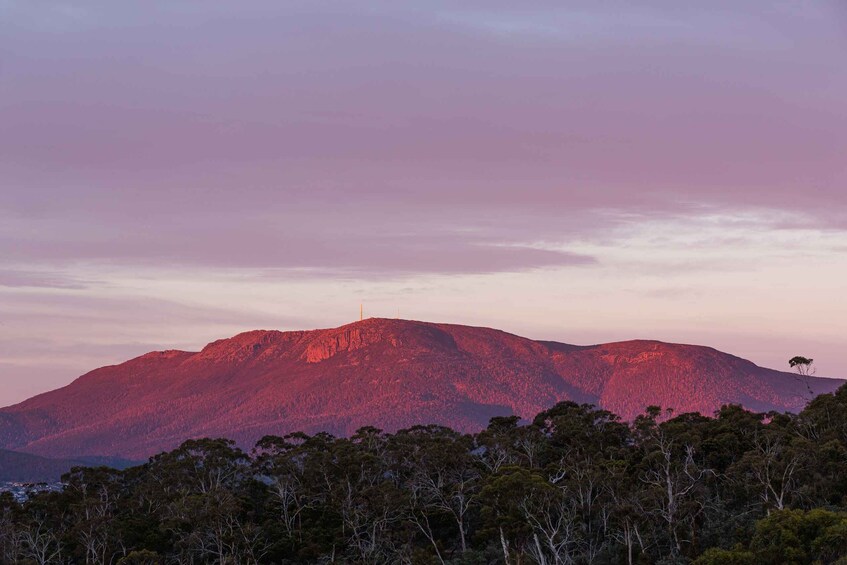 Picture 4 for Activity Hobart: nipaluna Half-Day Highlights Tour