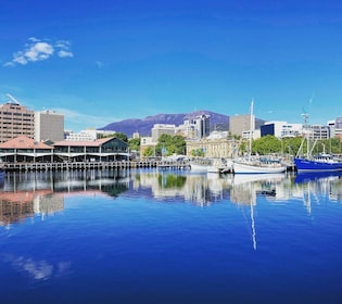 Hobart : nipaluna Half-Day Highlights excursion