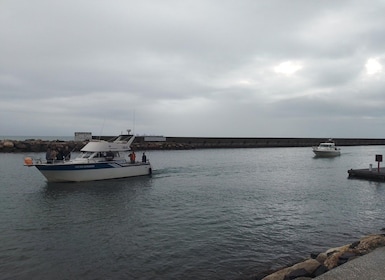 Cascais: Pesca en Familia con Copas de Bienvenida