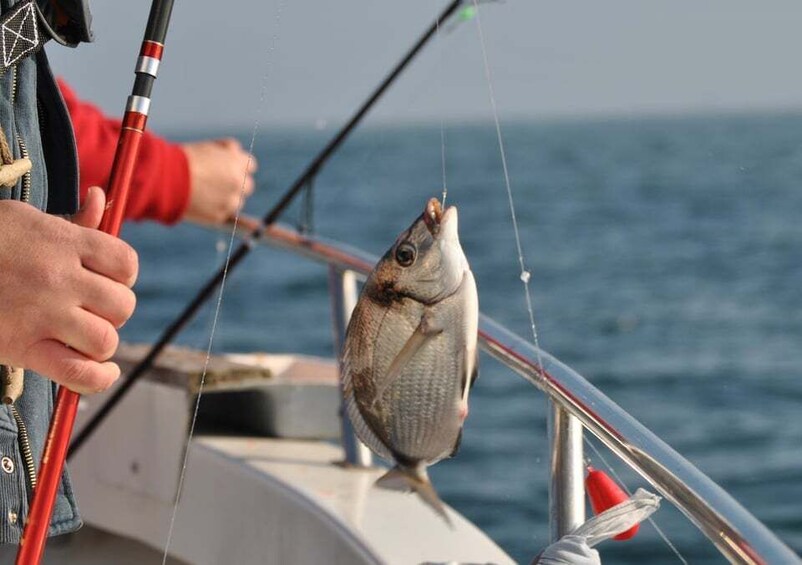 Picture 4 for Activity Cascais: Family Fishing with Welcome Drinks