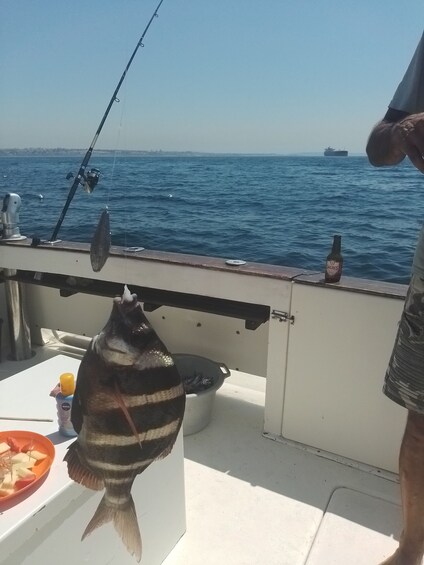 Picture 8 for Activity Cascais: Family Fishing with Welcome Drinks