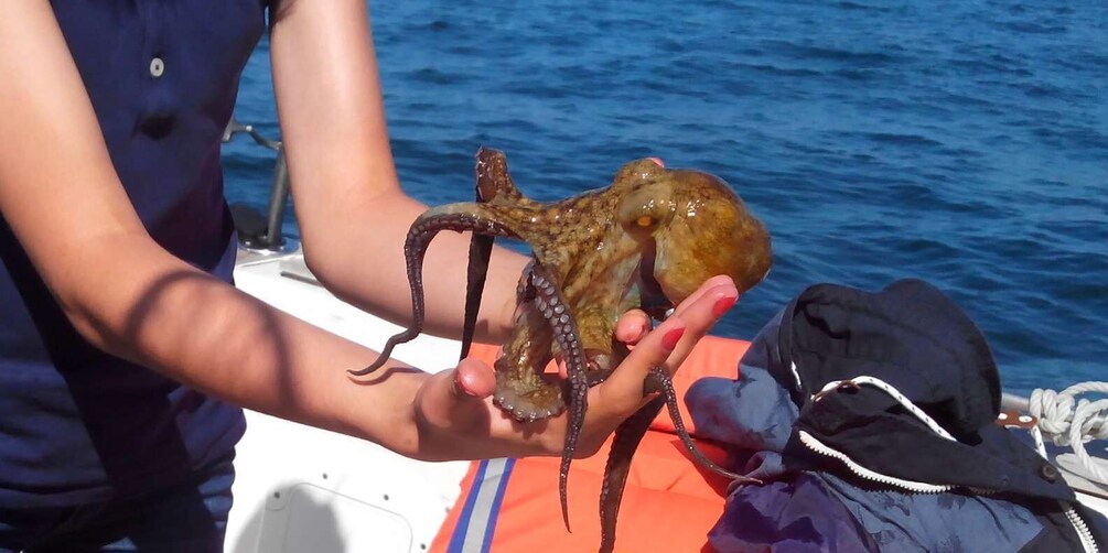 Picture 3 for Activity Cascais: Family Fishing with Welcome Drinks