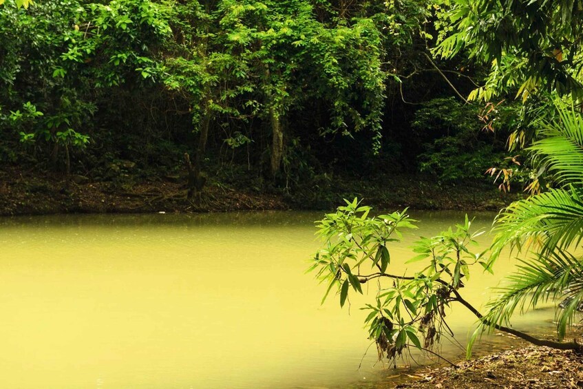 Picture 5 for Activity Punta Cana: Anamaya Mountains Walking Tour with Tasting