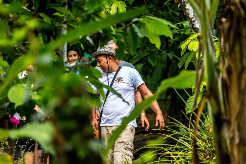 Picture 1 for Activity Punta Cana: Anamaya Mountains Walking Tour with Tasting