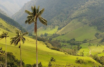 Punta Cana: Anamaya Mountains Walking Tour with Tasting