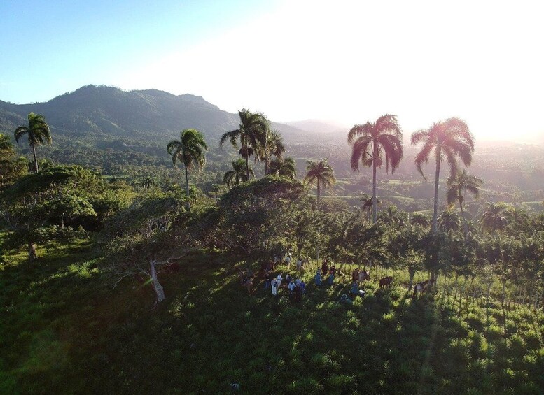 Picture 2 for Activity Punta Cana: Anamaya Mountains Walking Tour with Tasting