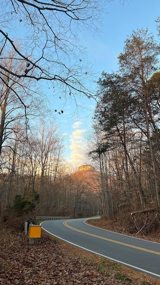 Picture 4 for Activity Pilot Mountain, NC: Go Rock Climbing with an AMGA Guide