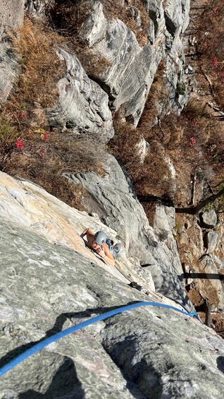 Picture 5 for Activity Pilot Mountain, NC: Go Rock Climbing with an AMGA Guide