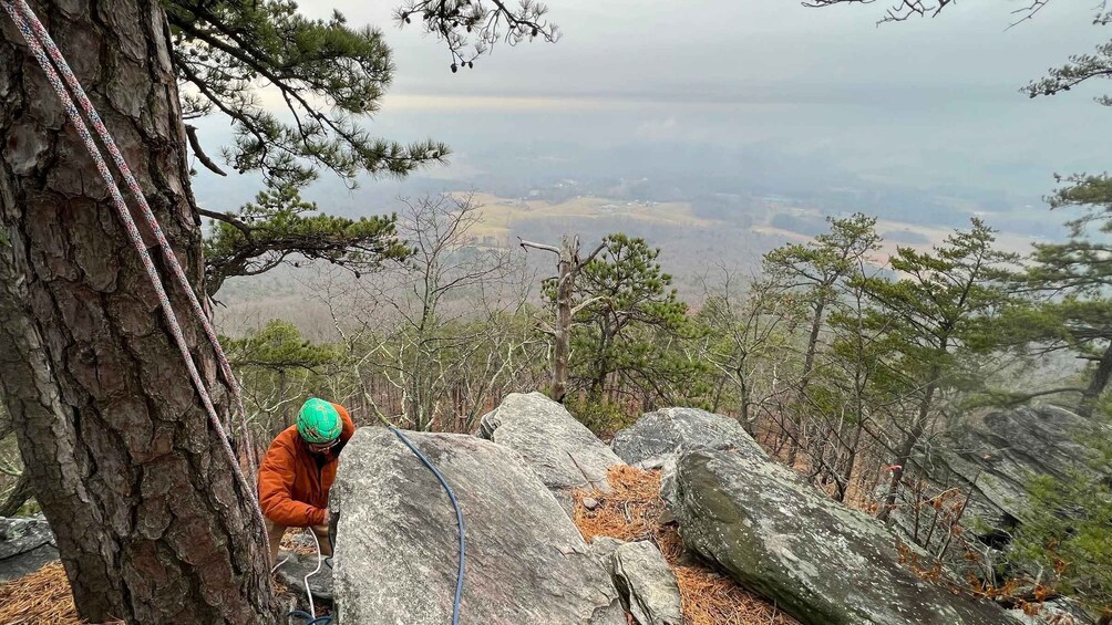 Picture 3 for Activity Pilot Mountain, NC: Go Rock Climbing with an AMGA Guide