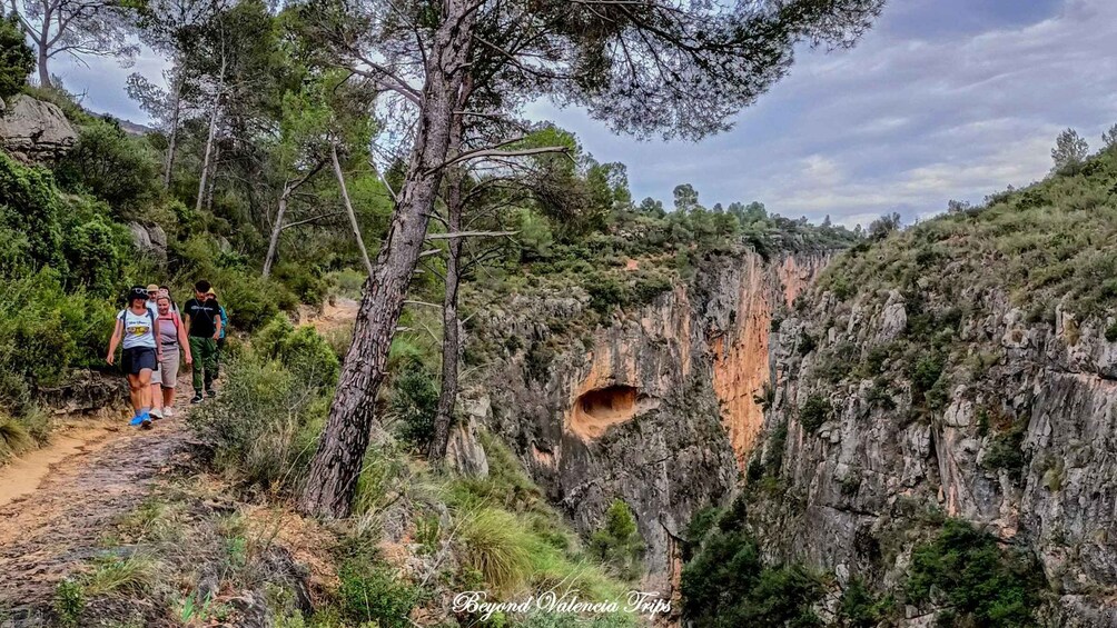 Picture 12 for Activity Chulilla: Turia Canyon, Charco Azul, Hanging bridges...