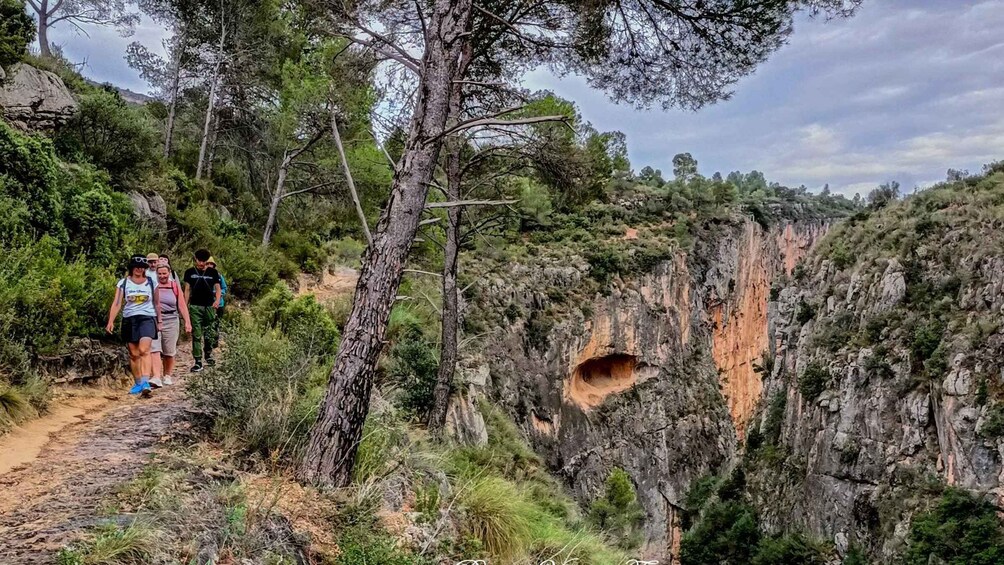 Picture 12 for Activity Chulilla: Turia Canyon, Charco Azul, Hanging bridges...