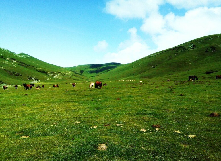 Picture 3 for Activity San Sebastián: Hike the Heart of the Basque Country