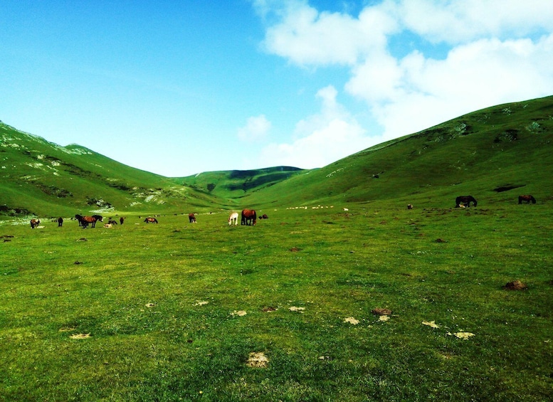 Picture 3 for Activity San Sebastián: Hike the Heart of the Basque Country