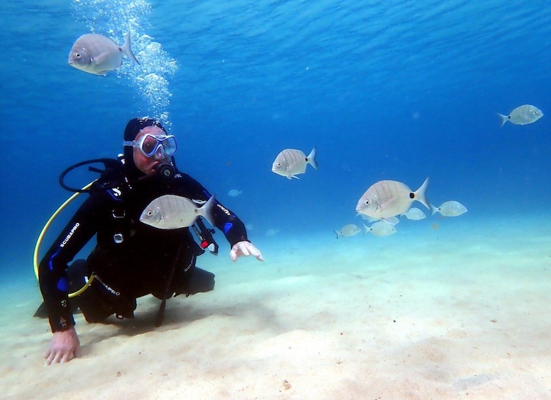 Lanzarote: Small Group Beginner Dive Course Costa Teguise