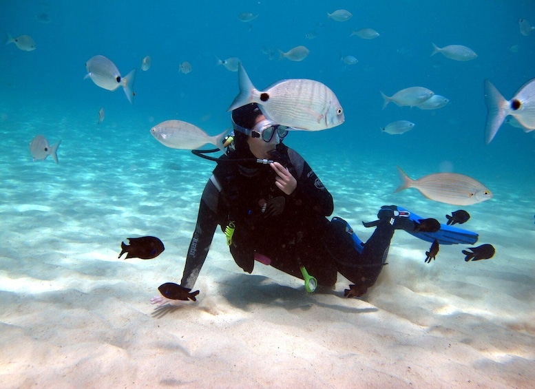 Picture 2 for Activity Lanzarote: Small Group Beginner Dive Course Costa Teguise