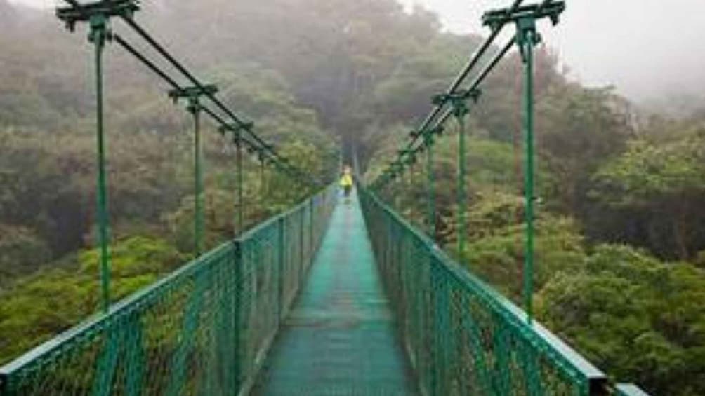 Picture 2 for Activity 10 Days Costa Rica Volcanoes, Waterfalls, Beaches and More