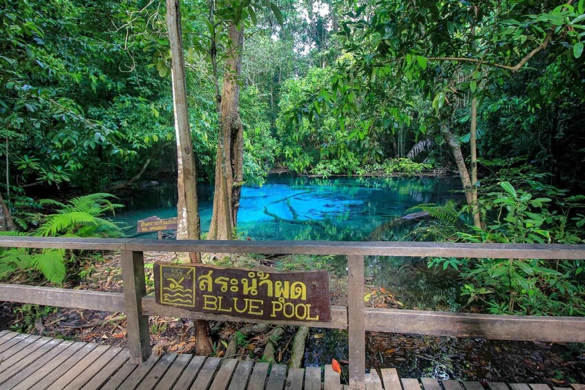 Picture 5 for Activity Krabi Outback Explorer to Emerald Pool & Wareerak Hotspring