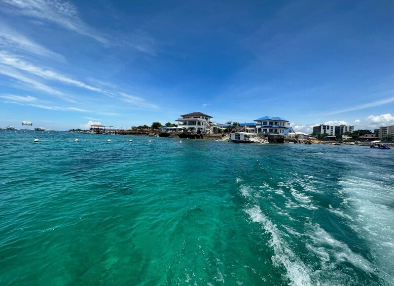 Picture 2 for Activity Cebu: boat diving two dive tour in Olango island