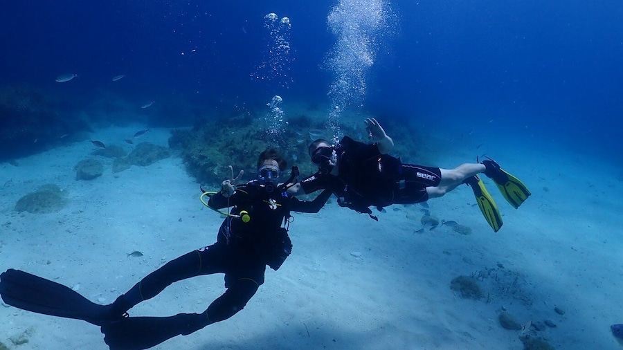 Picture 4 for Activity Cebu: boat diving two dive tour in Olango island