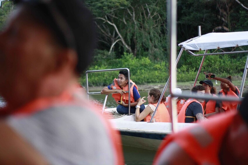 Picture 4 for Activity Kota Kinabalu: Kawa Kawa Wildlife River Cruise