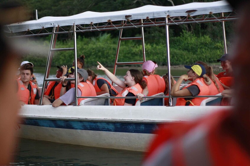 Picture 10 for Activity Kota Kinabalu: Kawa Kawa Wildlife River Cruise