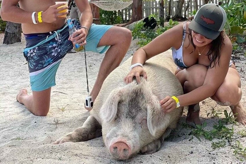 All Inclusive Swim with Pig/Turtle/Snorkel/lunch/Shuttle
