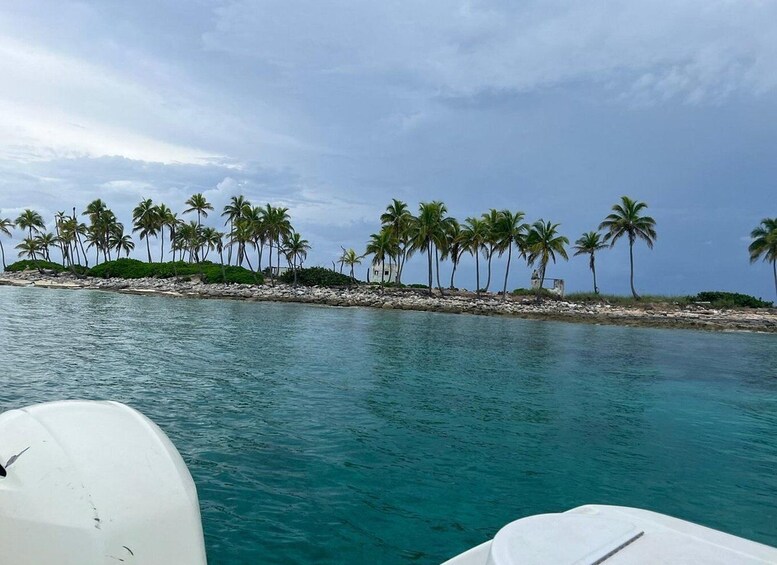 Picture 6 for Activity All Inclusive Swim with Pig/Turtle/Snorkel/lunch/Shuttle