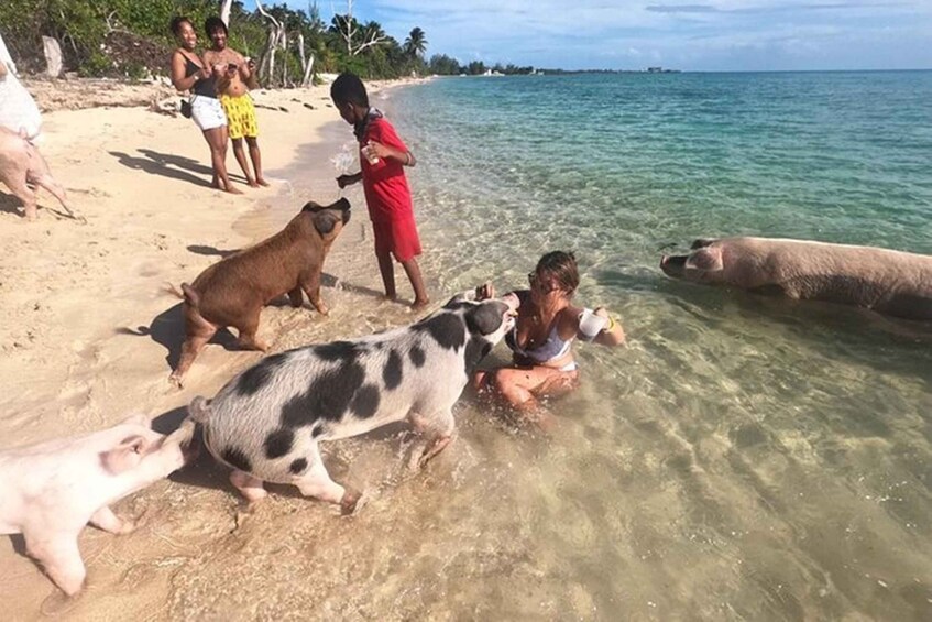 Picture 2 for Activity All Inclusive Swim with Pig/Turtle/Snorkel/lunch/Shuttle