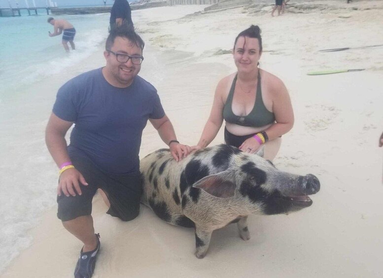 Picture 1 for Activity All Inclusive Swim with Pig/Turtle/Snorkel/lunch/Shuttle