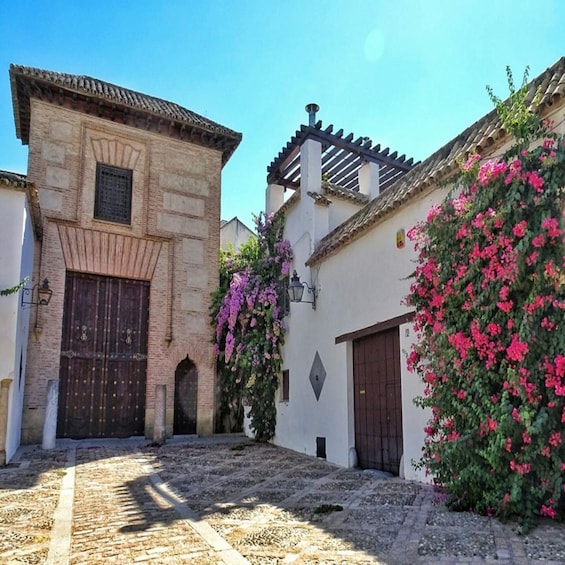 Picture 2 for Activity Cordoba: Archaeological Museum Entry Ticket with Guided Tour