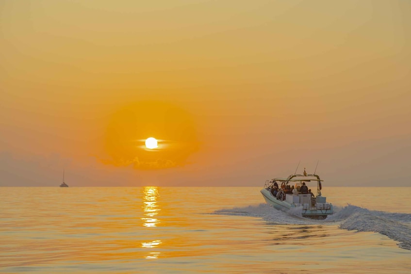 Picture 5 for Activity From Alcudia: Sunrise Dolphin Watching Boat Tour