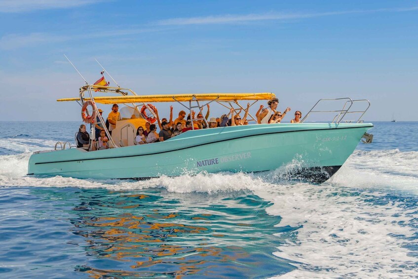 Picture 5 for Activity From Alcudia: Sunrise Dolphin Watching Boat Tour