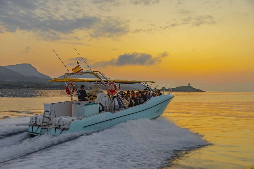 Picture 6 for Activity From Alcudia: Sunrise Dolphin Watching Boat Tour