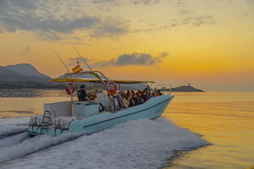 Picture 6 for Activity From Alcudia: Sunrise Dolphin Watching Boat Tour