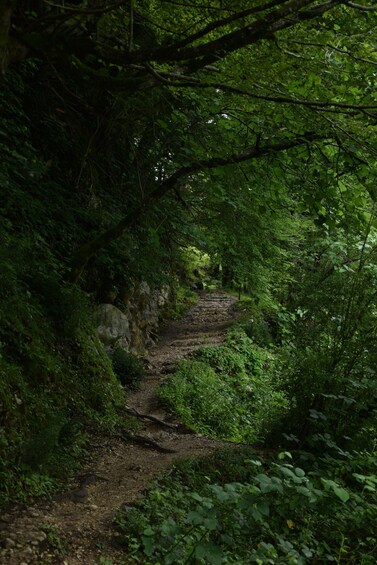 Picture 7 for Activity Kutaisi: Okatse-Martvili Canyons,Prometheus Cave, Waterfalls