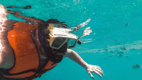 Snorkelling in Negombo