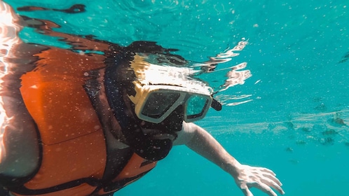 Snorkelling in Negombo