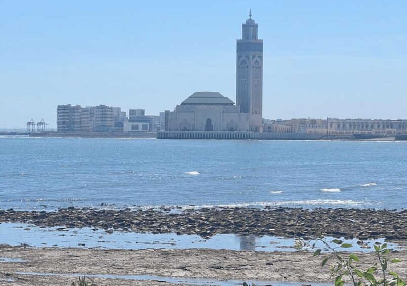 Picture 10 for Activity From Marrakech: Casablanca Day Tour