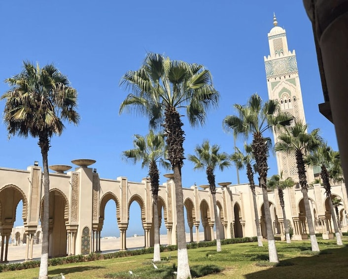 Picture 31 for Activity From Marrakech: Casablanca Day Tour