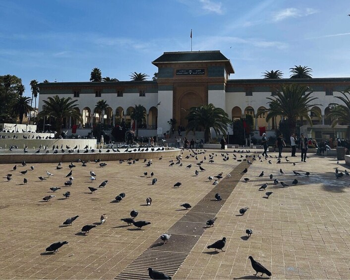 Picture 1 for Activity From Marrakech: Casablanca Day Tour