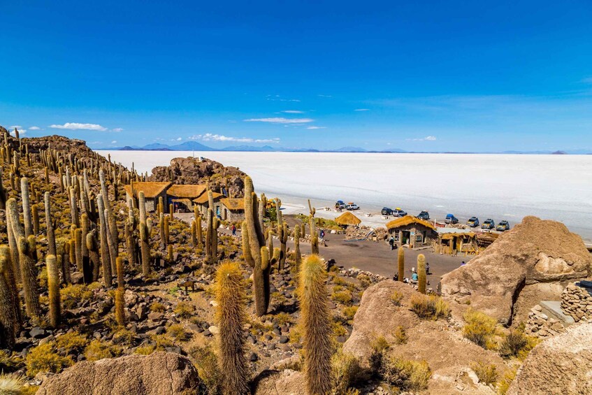 Picture 2 for Activity From Sucre: Tour in English Uyuni salt flat tour 2 Days