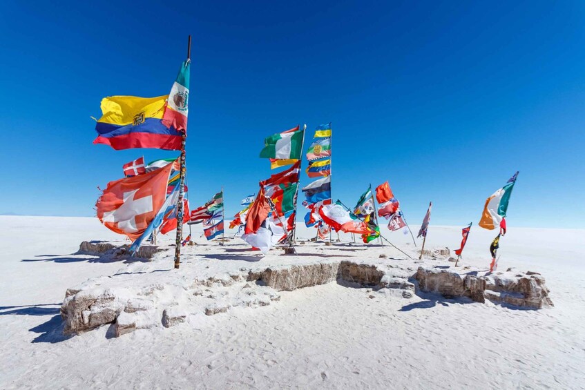 Picture 4 for Activity From Sucre: Tour in English Uyuni salt flat tour 2 Days