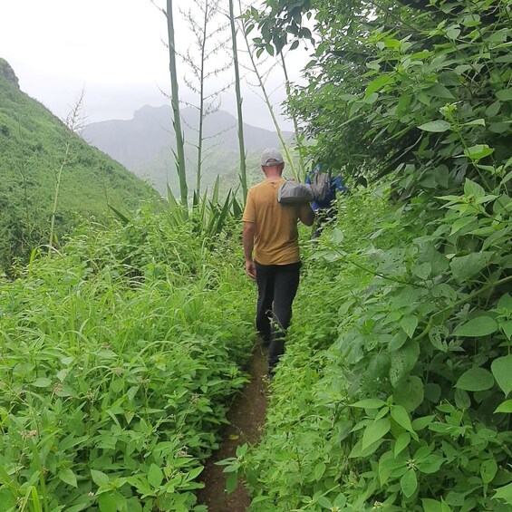 Picture 3 for Activity Hiking: From Serra Malagueta to Lagoa