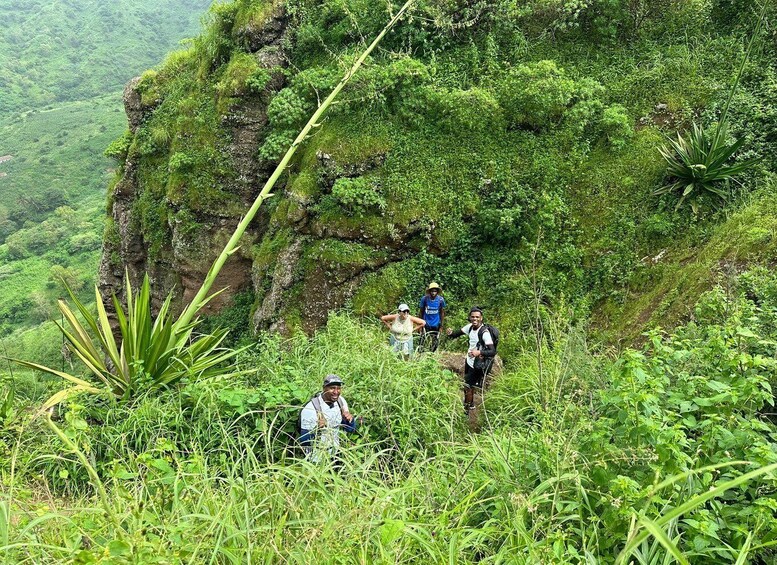 Picture 2 for Activity Hiking: From Serra Malagueta to Lagoa