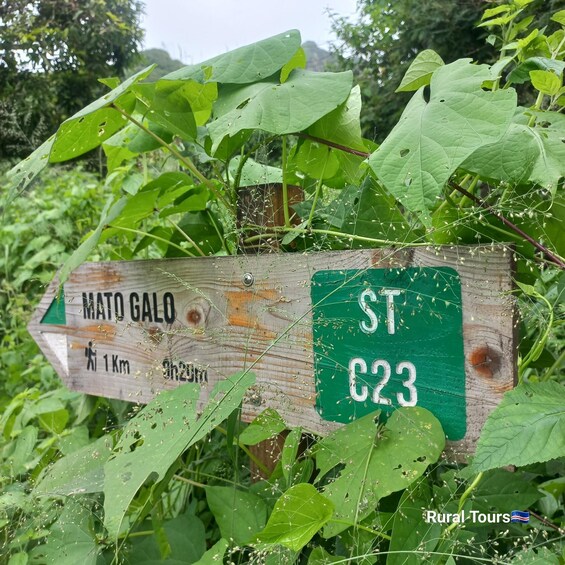 Picture 6 for Activity Hiking: From Serra Malagueta to Lagoa