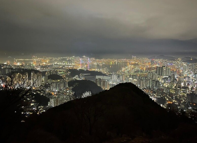 Picture 2 for Activity Busan: The best night view small group tour