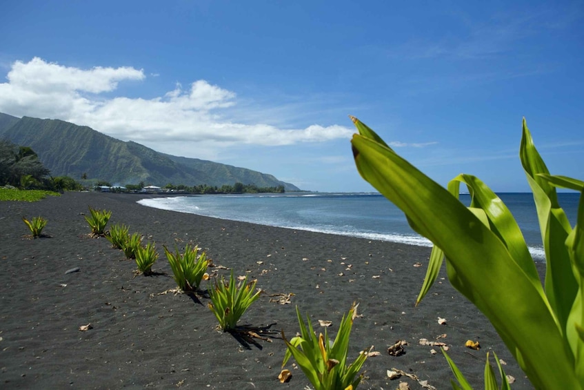 Picture 1 for Activity From Papeete: Tahiti Highlights Full-Day Private Tour